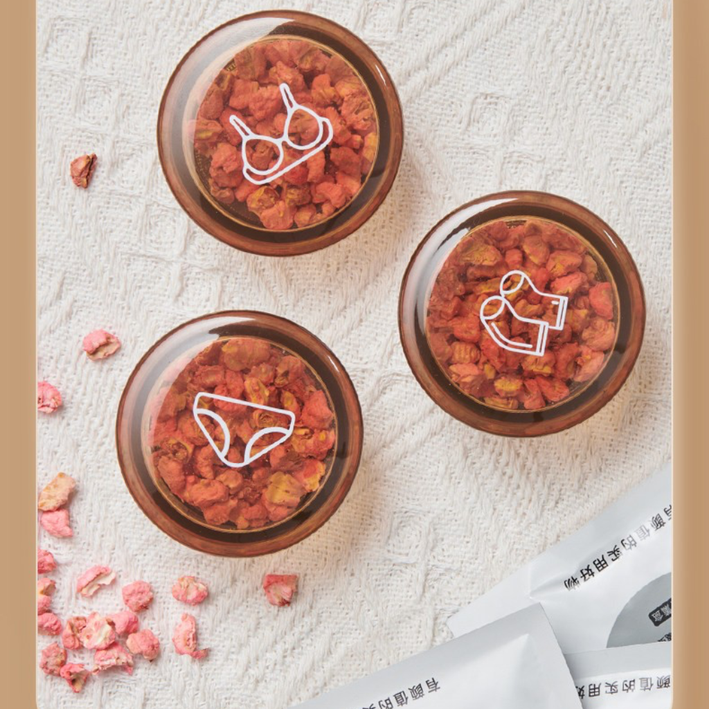 صندوق تخزين الملابس وحمالة الصدر المحمول من إيكوكو – منظم خزانة الملابس مع درج منفصل