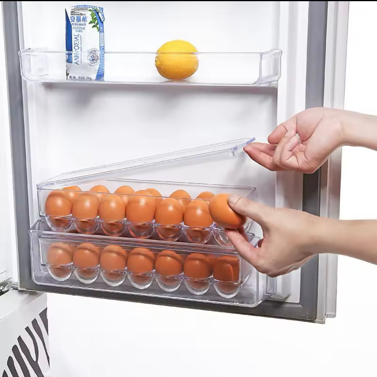 Transparent Refrigerator Side Door Egg Storage Box – 12 Grid Fresh-Keeping Egg Dispenser
