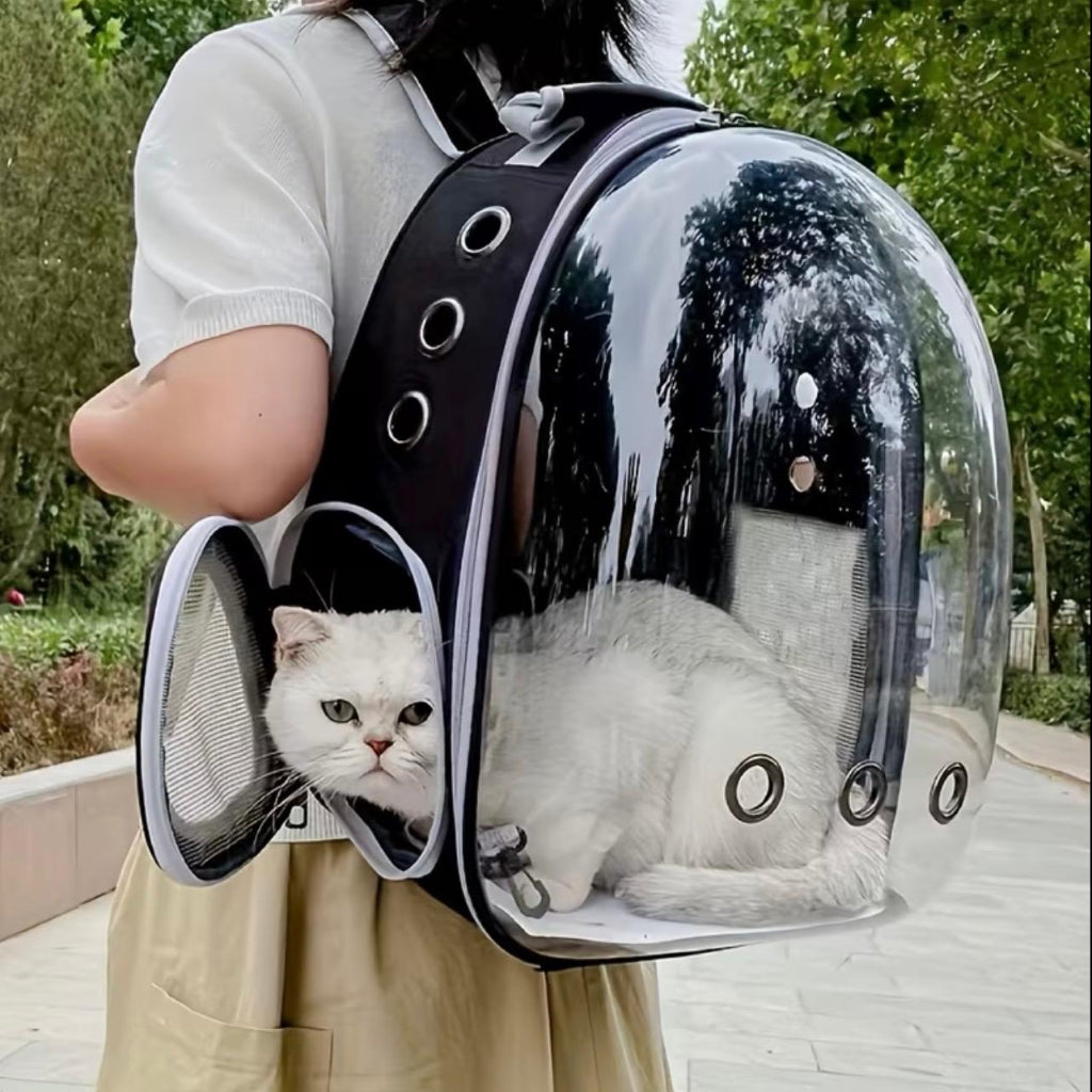Pet Backpack โ Breathable Transparent Travel Carrier for Cats & Small Dogs