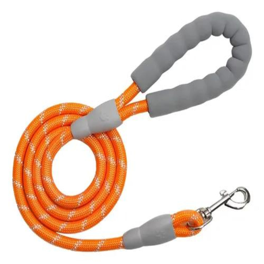 Dog Training Leash 3M – Wear-Resistant Strong Rope with Soft Handle for Small & Medium Dogs