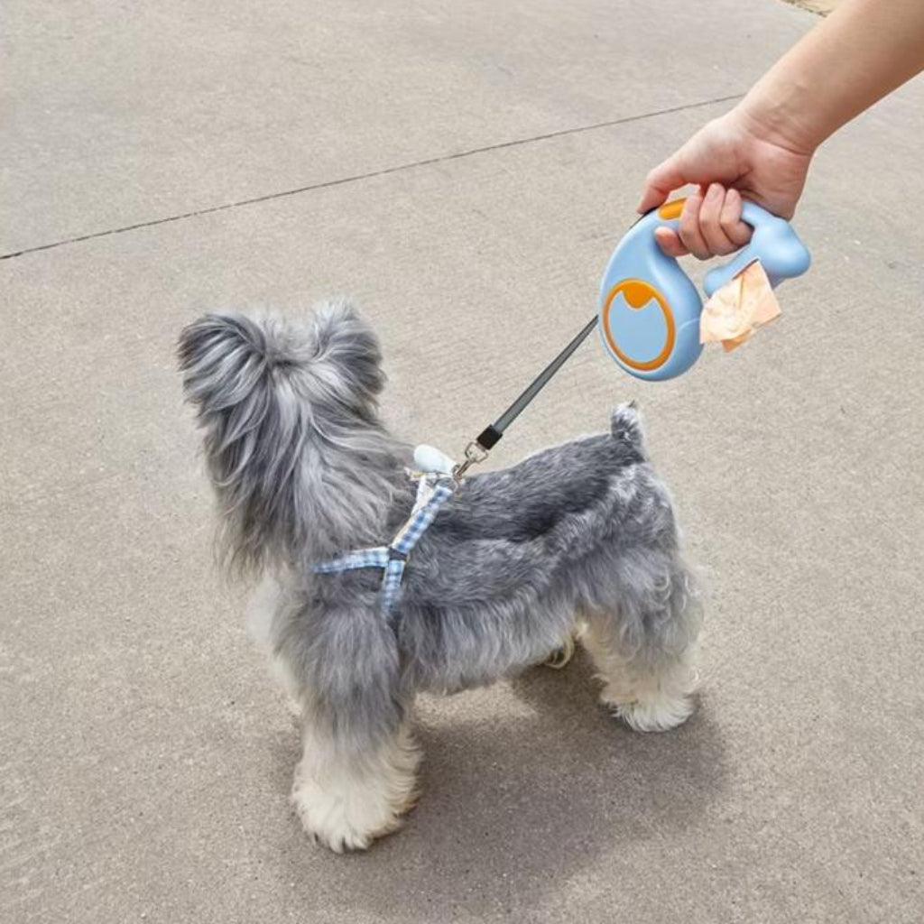 2-in-1 Extendable Dog Leash with Built-In Waste Bag Holder – One-Hand Brake & Lock