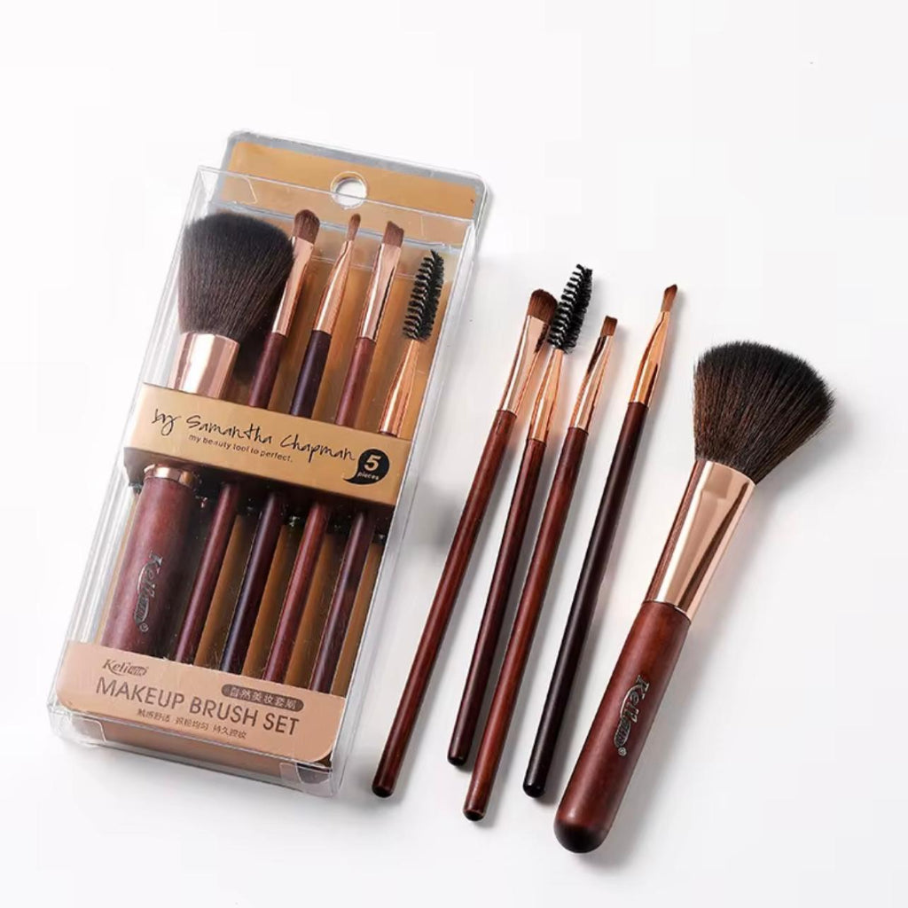 5 pcs Makeup Brush Set, Professional, Resin Rod, Nylon Bristle, Unscented, for Normal Skin, Full Set, Eye Shadow, Concealer, Blending Brush,Makeup Brush for Women