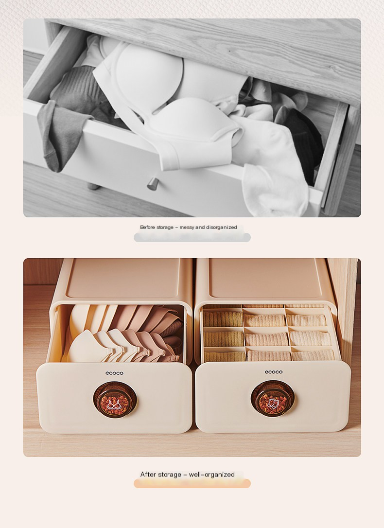 Ecoco Portable Bra & Clothing Storage Box – Wardrobe Organizer with Dr