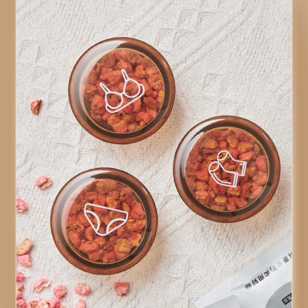 Ecoco Underwear & Clothing Storage Box – Portable, Mildew-Proof Drawer Organizer