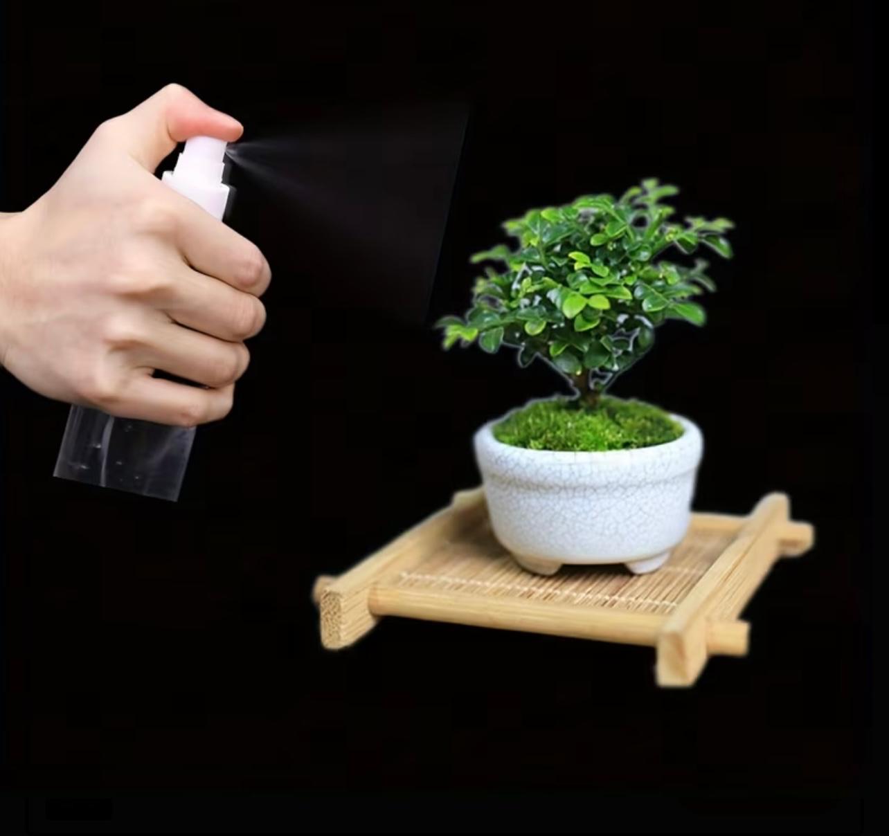 زجاجة رذاذ شفافة – حاوية سفر قابلة لإعادة الملء