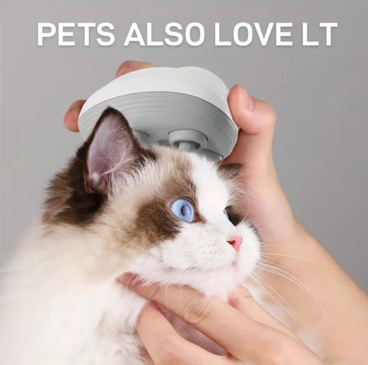 Portable Head Massager – Handheld Scalp Relaxing Massager