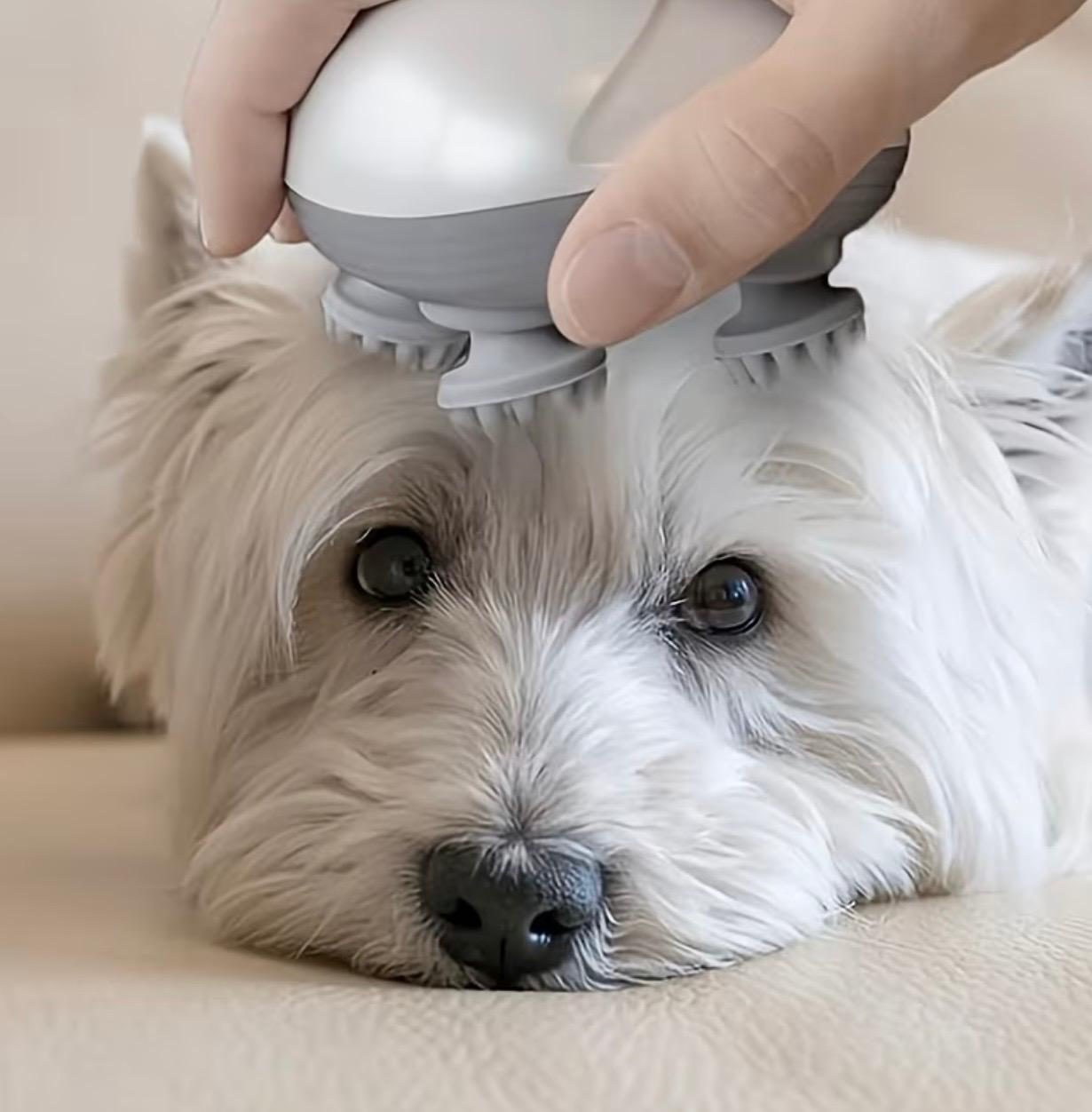 Portable Head Massager – Handheld Scalp Relaxing Massager