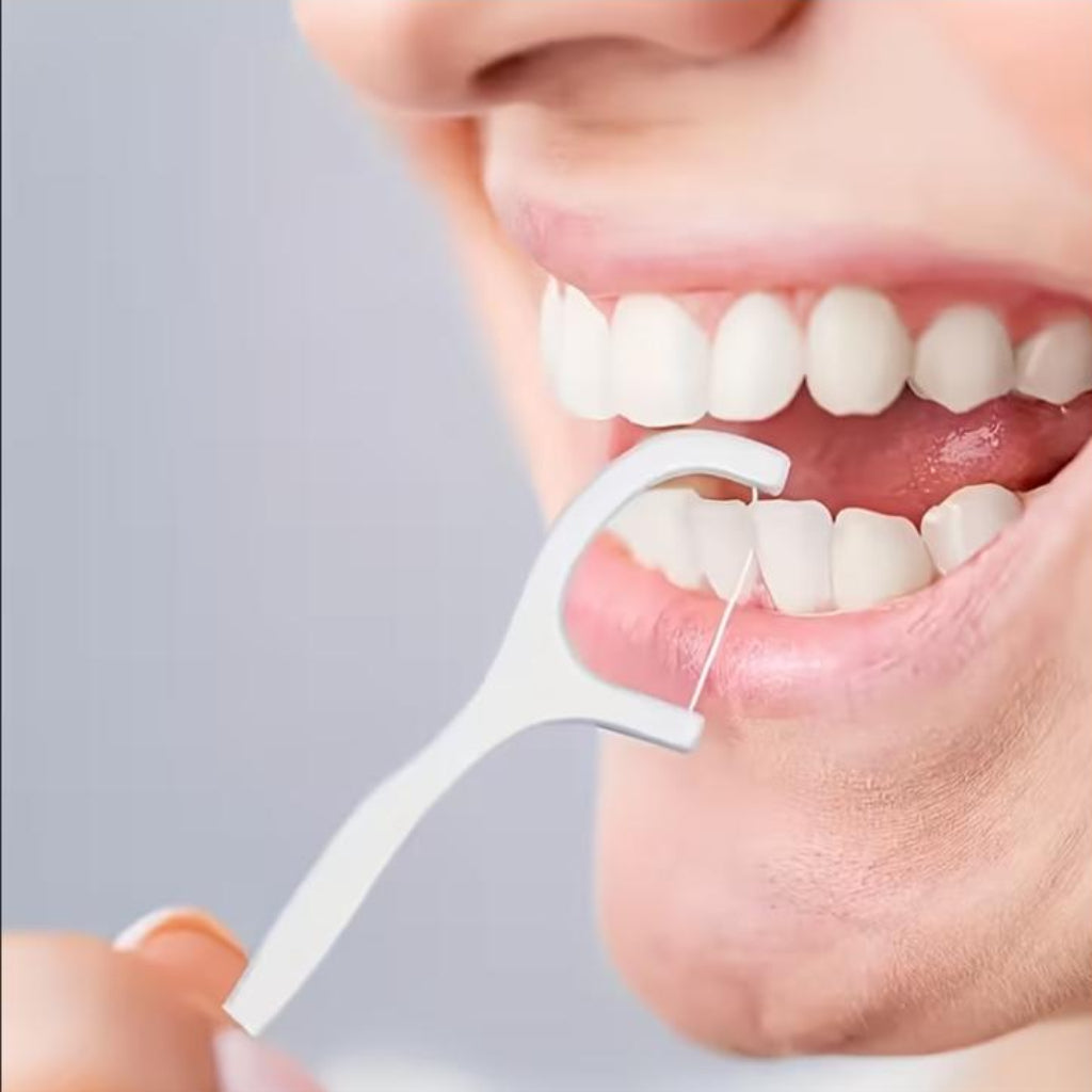 Dental Floss Picks Set 30 pcs set