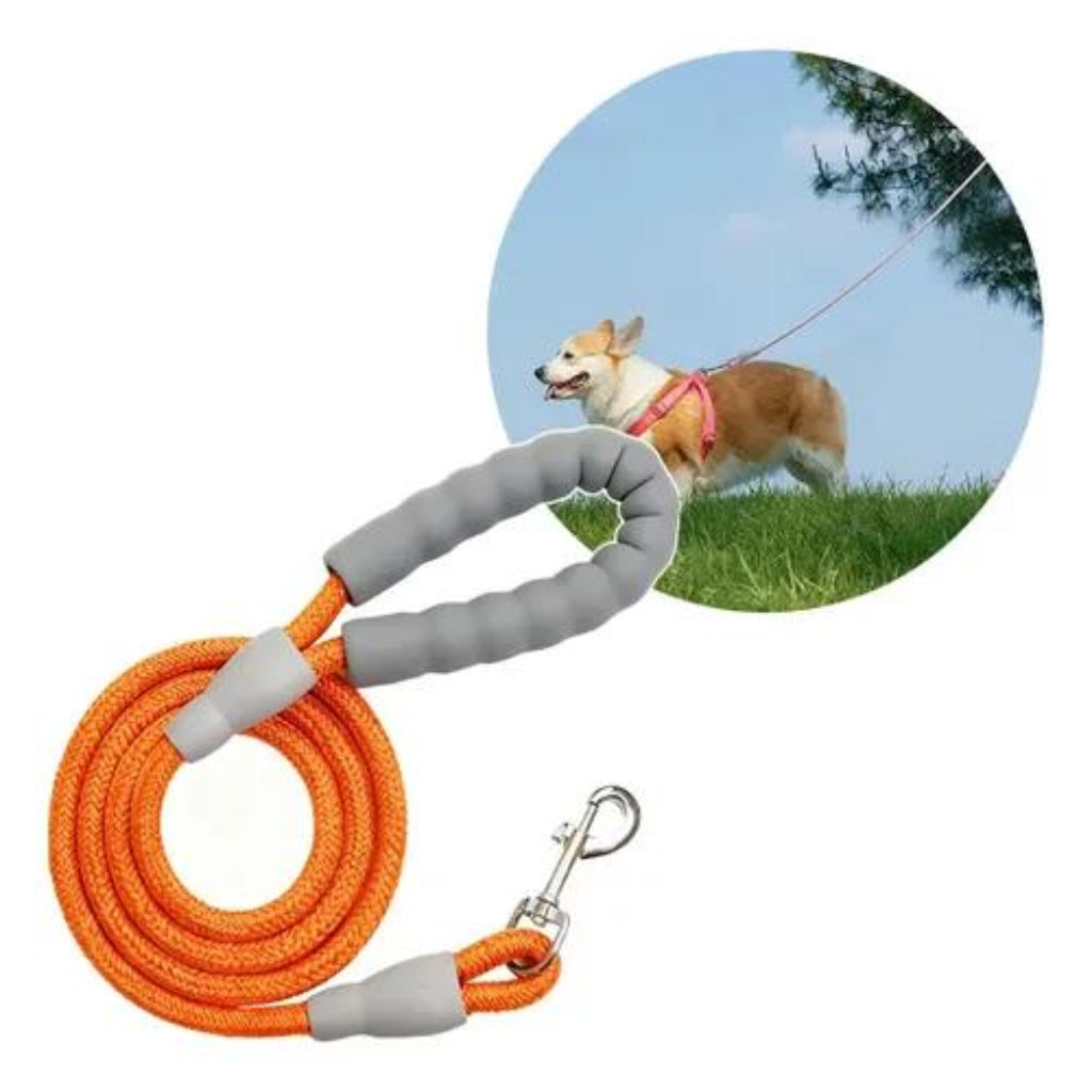 Dog Training Leash 3M – Wear-Resistant Strong Rope with Soft Handle for Small & Medium Dogs