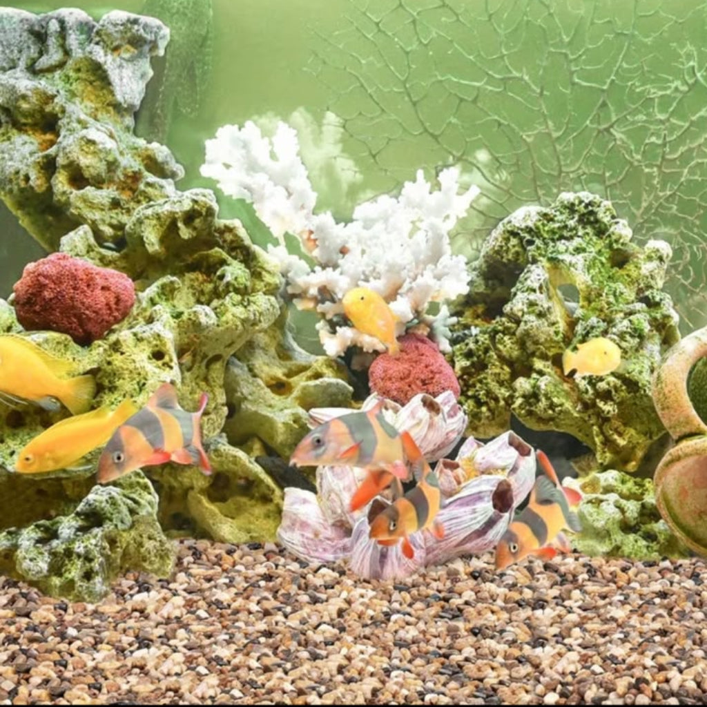 Natural Decorative River Pebbles – 240g Mixed Polished Stones for Crafts, Plants & Home Décor
