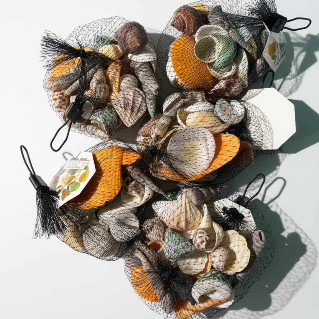 Decorative Natural Seashell Collection – Assorted Mixed Shells for Crafts, Home Décor & Aquarium Display