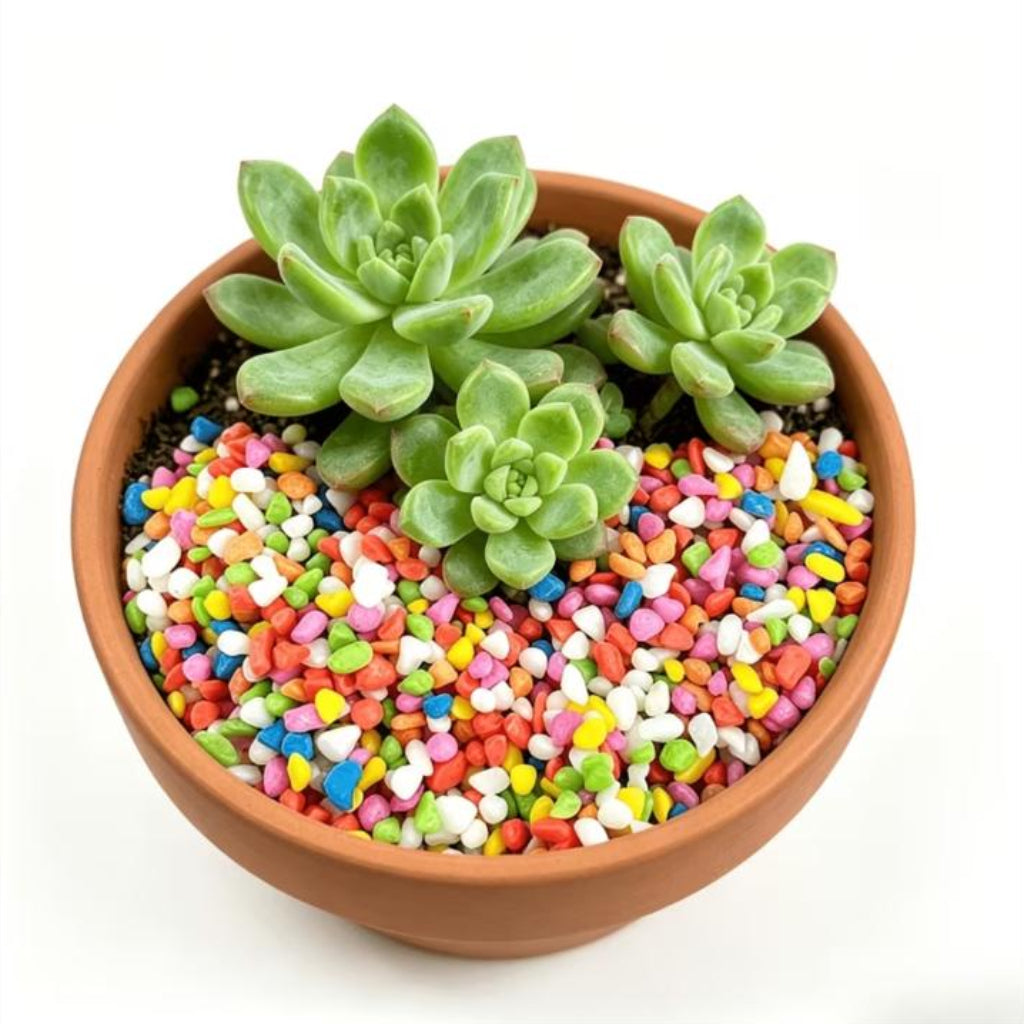 Colorful Decorative Pebbles and Stones for Aquarium – 440g Pack