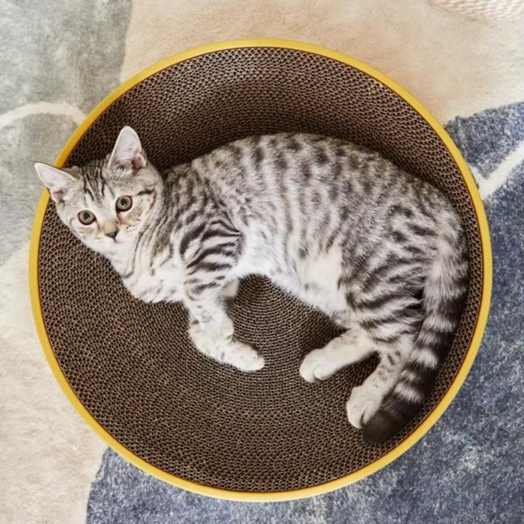 Round Corrugated Cat Scratching Bowl – Multifunctional Pet Lounge & Scratcher Bed